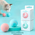 Smart Cat Ball Toys BallFunny - ForeverFiveStar