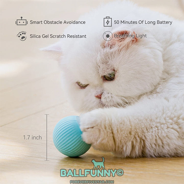 Smart Cat Ball Toys BallFunny - ForeverFiveStar